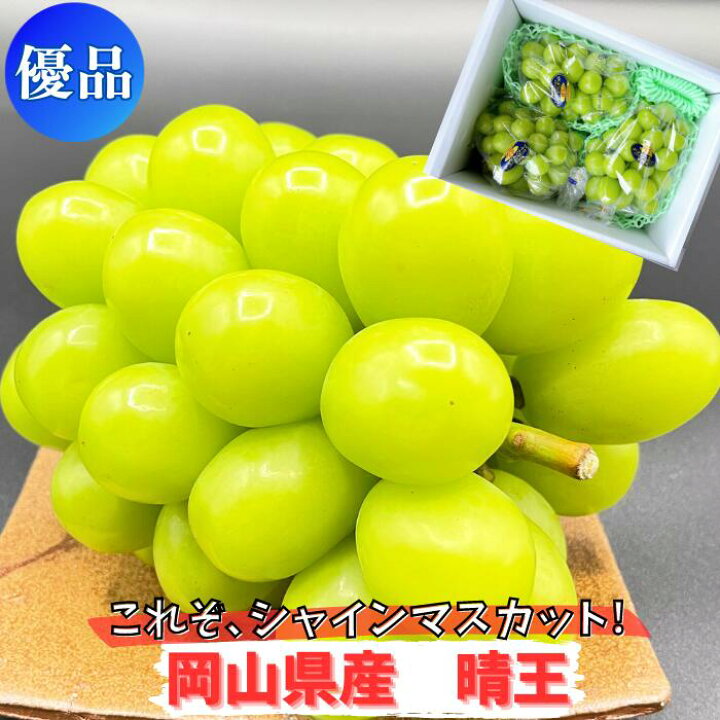 楽天市場】シャインマスカット 晴王 岡山県産 訳あり 選べる容量 1kg 
