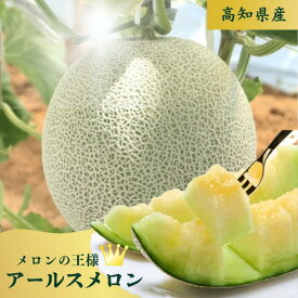 アールスメロン 大玉 高級 1玉 2玉 6玉 送料無料 高知県産 メロン めろん マスクメロン お取り寄せ フルーツ 果物 ギフト 贈答用 プレゼント 内祝い 母の日 父の日 ご褒美 　　　　　　　アールスメロン高知