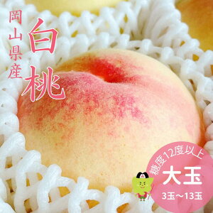 �y��s�\��z�� ���� ���R �����p ���G ��� �I�ׂ�e�� 900g 2kg 4kg ���C���� ���Z���^�[�I�� �M�t�g �����p �䒆�� ���R���� ���� �v���[���g ��� ��j �䋟 �ʕ� �������� �t���[�c ���i��w