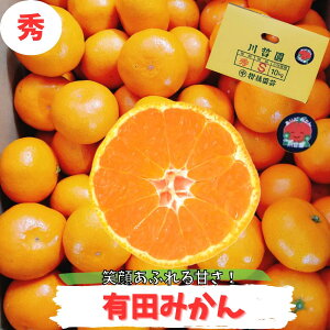 yBFő5OFFN[|LzLc݂ 10kg 5kg 3kg Gi  ݂ ~J Ε Mtg v[g  j n VN    t[c ʕ Lc݂