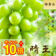 【20%OFFクーポン対象】シャインマスカット 晴王 岡山県産 特秀 700g 選べる容量 1房 6房 大房 送料無料 …