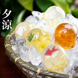 葉山日影茶屋 夕涼詰合せ7個入 YS-7　全国送料無料 高級 ギフト 葉山 お手土産 和菓子 スイーツ お取り寄せ お中元に※写真は商品イメージです。※のし不可、包装不可(箱の特殊なパッケージため)。予めご了承ください。
