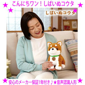 ★こんにちワン!しばいぬコウタ★トントンして話しかけるだけの簡単操作で挨拶にお返事したりする音声認識ぬいぐるみです♪★テレビで紹介され話題に!一人暮らしの高齢者・ペットロ