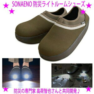 y[܂zSONAENO hЃCg[V[YȂ \iGm h Cgt Xbpނƌ̈ZT[hЗp[V[Y􁚍ЊQ͂.钆̃gC