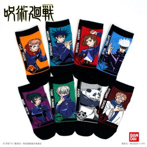 �o���_�C ��p���� �L�����N�^�[�\�b�N�X 19~24cm�p �S8�� �������� �l�R�|�X �����y