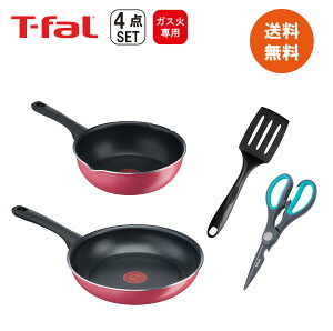 T-fal eBt@[ 2025N  KXNx[tCpc[Zbg tCp22cmE26cmEnT~E^[i[ 4_Zbg KXΐp 