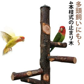 鳥 止まり木 自然木 止まり木タワー タワー インコ カナリア 文鳥 十姉妹 多頭 複数 枝 りんご リンゴの木 爪とぎ パーチ 木 遊び場 林檎 天然木 大きめ 枝 複数 吊るす モモンガ リス 鳥止まり木
