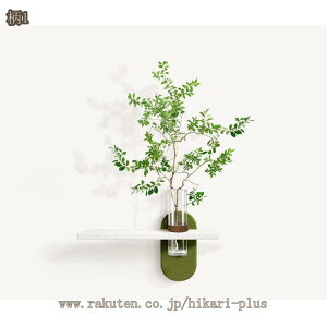 Ǐ EH[VFt k 蕨  u TVwi ╗A[g Ri wG H/er/\t@wi AeB[N Lb` ┧ EH[VFt hikari-plus