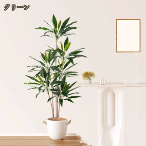 lHϗtA sv hZi  tFCNO[ K^̖ p A ϏܐA CeA   sv  JtF Lb` j a   j  a 