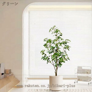 lHA n ȒPb炸 sv tFCNO[ { sv ԕ/Q̐SzȂ  ϗt R h CeAO[ lHϗtA Ύ A ItB