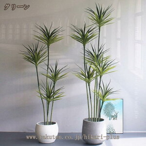 lHϗtA sv K̎  tFCNO[ K^̖ p A ϏܐA CeA   sv  JtF Lb` j a   j  a 