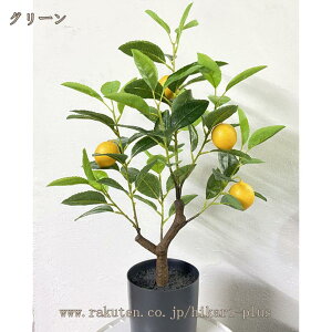 lHA ̖ ȒPb炸 sv tFCNO[ { sv ԕ/Q̐SzȂ  ϗt R h CeAO[ lHϗtA Ύ A I