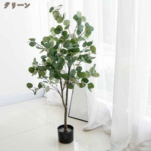 lHϗtA sv [J  tFCNO[ K^̖ p A ϏܐA CeA   sv  JtF Lb` j a   j  a 