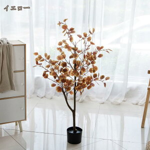 lHϗtA sv [J  tFCNO[ K^̖ p A ϏܐA CeA   sv  JtF Lb` j a   j  a 