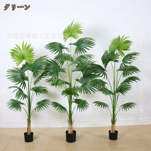 tFCNO[ ϗtA V̖ ͂Ȃ L  rO lHϗtA ^ A  JtF Lb` 傫  j A z    lHϗt JX