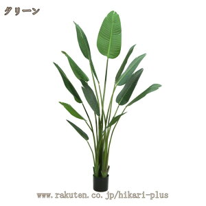 ͂Ȃ ϗtA Xg`A  Mtg v[g lHA lHϗtA Vzj JXj a   Fl ^ tFCNO[  CeA  ItBX J