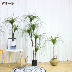 tFCNO[ ϗtA K̖ ͂Ȃ L  rO lHϗtA ^ A  JtF Lb` 傫  j A z    lHϗt JX