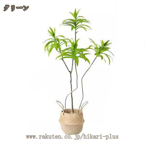 tFCNO[ ɒuA ϗtA hZi Vzj j ̓ ̓ a i` CeAO[  gC lHϗtA ^  ͂Ȃ  l