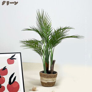 tFCNO[ AJV  A lHϗtA ϗtA tFCN ^  CeA  ItBX   lHA  J^ Mtg v[g sv 