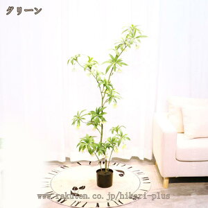 ͂Ȃ ϗtA 썑A  Mtg v[g lHA lHϗtA Vzj JXj a   Fl ^ tFCNO[  CeA  ItBX JtF 