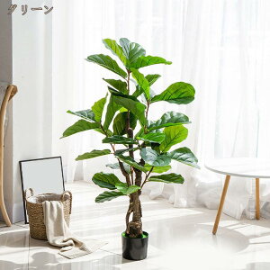 tFCNO[ Ex[^  A lHϗtA ϗtA tFCN ^  CeA  ItBX   lHA  J^ Mtg v[g sv 