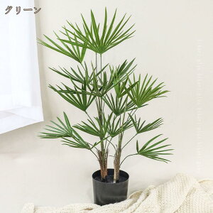 lHϗtA p[c[ Ύ tFCNO[ K̖  CeA   ϗA ^ bsv sv Q̐SzȂ R hL ϗt ~͐A lH tFCN