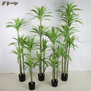 tFCNO[ hZi _ A Vv lHϗtA ^ ͂Ȃ sv Ύ  ItBX  CeA L R h lHA sv  킢