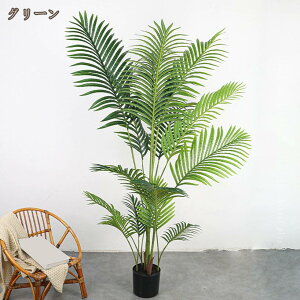 AJV tFCNO[ ȒPb lH lHϗtA  CeA  O tFCNA sv ͂Ȃ ~͐A a  L R lHA 킢 v[