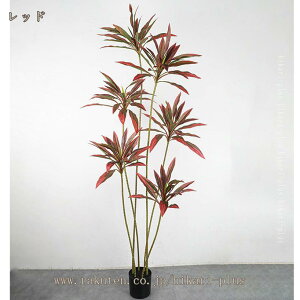 tFCNO[ lHϗtA ϗt  ȒP sv Q̐SzȂ K̖ hZi  ItBX A A CeAO[ L {  lH