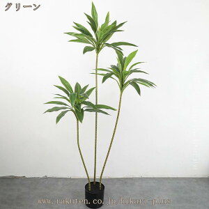 tFCNO[ lHϗtA ϗt  ȒP sv Q̐SzȂ K̖ hZi  ItBX A A CeAO[ L {  lH