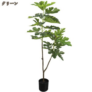 xW~ tFCNO[ ȒPb lH lHϗtA  CeA  O tFCNA sv ͂Ȃ ~͐A a  L R lHA 킢 v[