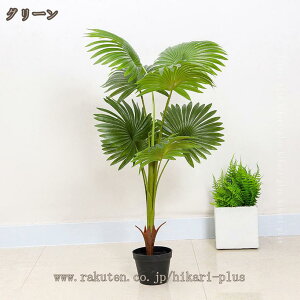 tFCN V̖ ^ Ύ lHϗtA { R p A ^Abv ȒP   CeA Mtg v[g j S҂łĂ₷ tFC