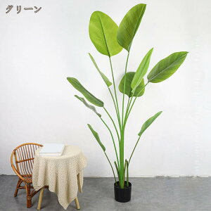 Ɋy tFCNO[ ȒPb lH lHϗtA  CeA  O tFCNA sv ͂Ȃ ~͐A a  L R lHA 킢 v[g