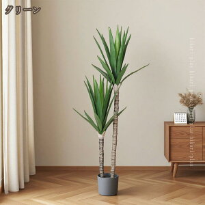 lHϗtA bJ̖ Ύ tFCNO[ K̖  CeA   ϗA ^ bsv sv Q̐SzȂ R hL ϗt ~͐A lH tFCN