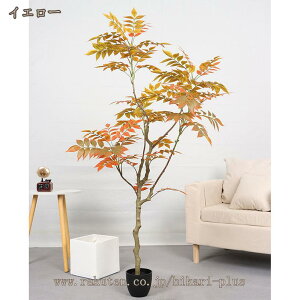 tFCNO[ ^ [J A lH ϗtA hL R  sv ȒP   ItBX j v[g Mtg A {̐lHA Ce