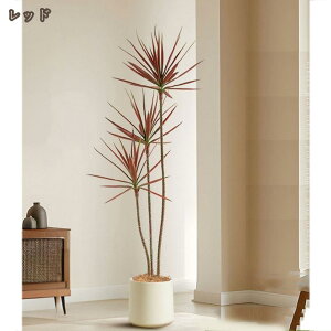 1000�~OFF�N�[�|�� �h���Z�i ���K�̖� �t�F�C�N�O���[�� ��^ �ϗt�A�� �t�F�C�N �ϗt�� ���b���炸 �����s�v �h�� �R�� �ϏܐA�� �����p ������� �C���e���A �l�H�ϗt�A�� ���� ���r���O 