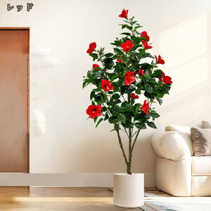 lHA ATKI ȒPb炸 sv tFCNO[ { sv ԕ/Q̐SzȂ  ϗt R h CeAO[ lHϗtA Ύ A It