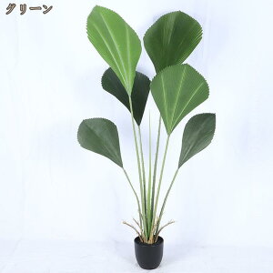 tFCN MѐA ^ Ύ lHϗtA { R p A ^Abv ȒP   CeA Mtg v[g j S҂łĂ₷ tFC