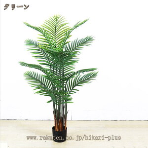 AJV  tFCNO[ ϗtA { ^ lHA 킩Ȃ ygȂ sv Q̐SzȂ  CeA rO ItBX  킢 ϗt