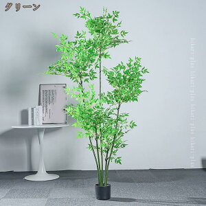 lHϗtA tFCNO[ ϗt sv ϗtA ȒP ou[ |  ItBX CeA A ^ R hL h { lHA  bȂ