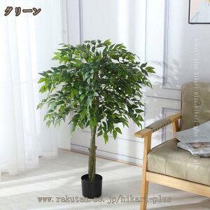 KW}  tFCNO[ ϗtA { ^ lHA 킩Ȃ ygȂ sv Q̐SzȂ  CeA rO ItBX  킢 ϗt