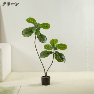 tFCNO[ Ex[^ ^ ϗtA tFCN  ϗA   CeA Vv ItBX lHϗt rO X  J^  JX JƏj i` 