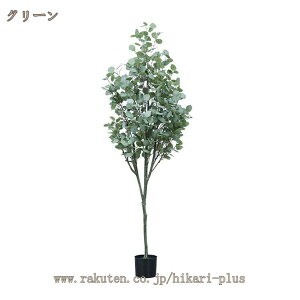 tFCNO[  z[ ϗtA [J  lHϗtA Mtg Vv  IV CeAO[ ^ tFCN lHA  J^ ȒP LR s