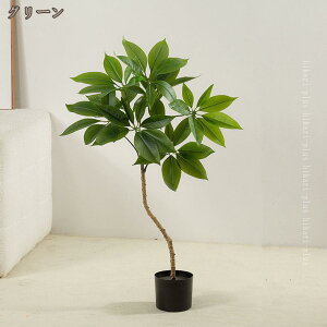 tFCNO[ pL ^ ϗtA tFCN  ϗA   CeA Vv ItBX lHϗt rO X  J^  JX JƏj i` ԃc