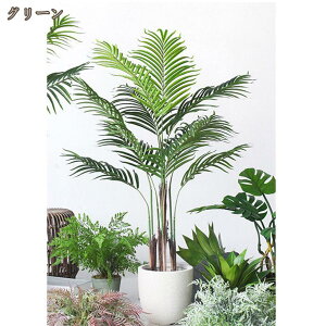 AJV tFCNO[ ^ Ύ ϗtA { A  CeA lHA tFCNA lH   Mtg 蕨  sv QSzȂ 