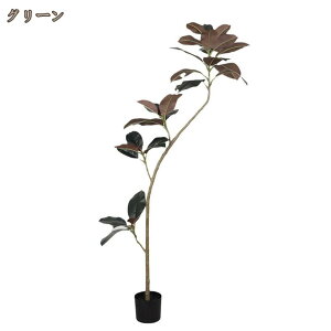 lHϗtA S̖ tFCNO[  ϗtA tFCN lHA   a A A lH ͂Ȃ sv ȒP CeA     SݓX 