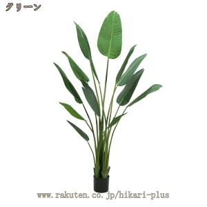 tFCNO[ ϗt ^ K^̖ lHϗtA R hJr A  Xg`A A    lHA sv ͂ȂO[ X c ItBX j