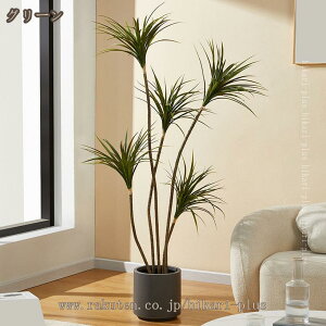 lHϗtA a hZi CeA   A L R sv Q̐SzȂ tFCNO[ lHA 킢 zj 蕨 Vzj̑ v[g 