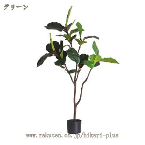 lHϗtA a Ex[^ CeA   A L R sv Q̐SzȂ tFCNO[ lHA 킢 zj 蕨 Vzj̑ v[