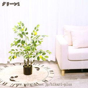 tFCNO[ ϗt ^ K^̖ lHϗtA R hJr A  ̖ A    lHA sv ͂ȂO[ X c ItBX j 